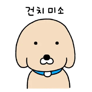 Video sticker 💬 누렁이 왔어요! By @KakaoEmoticon