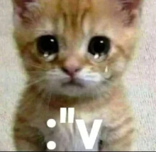 Телеграм стикер 😭 Сру by @myr04k