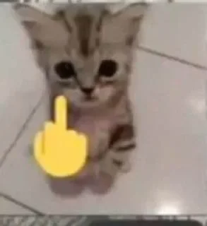 Телеграм стикер 😡 Сру by @myr04k