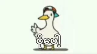 Video sticker 🤣 DoubleStar