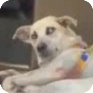 Sticker 👍 DoubleStar