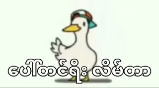 Video sticker 🤣 DoubleStar