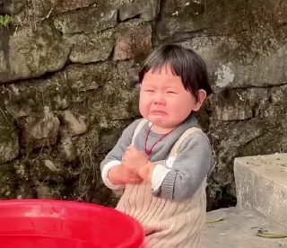 Video sticker 😭 Your stickers - @my_stckers_bot