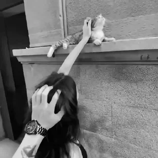 Video sticker 🤍 @J_H_P ݪـ قِـݪـمِـۅنِيُ