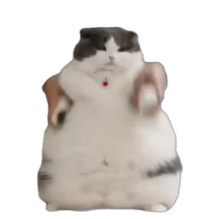 Video sticker 🤤 DADDY_LEVII