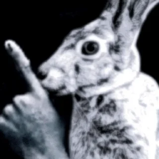 Video sticker 🌟 @cuilrn از گیف متنفرم ۲