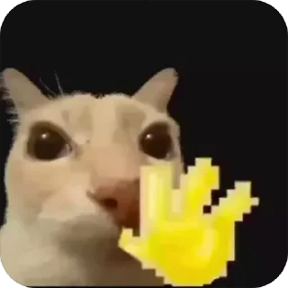 Video sticker 🌟 рейд :: @fStikBot