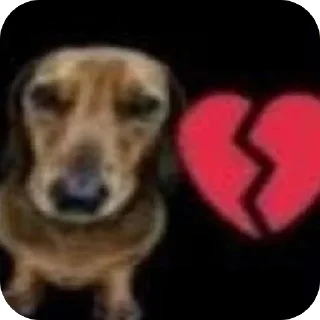Telegram stiker 💔 рейд :: @fStikBot