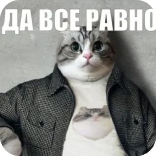 Telegram sticker 🐱 Солевые коты 2  ➡️ @Ctikerubot