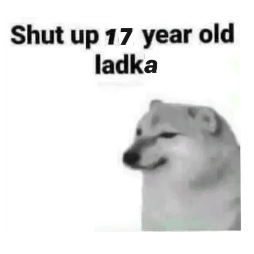 Telegram sticker 🐶 𝙆𝚫‌𝙆𝘼𝙎𝙃𝙄 🥀