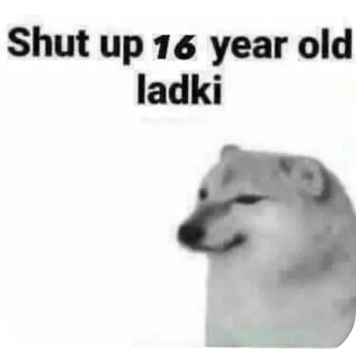 Telegram sticker 🐱 𝙆𝚫‌𝙆𝘼𝙎𝙃𝙄 🥀