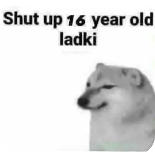 Video sticker 🐱 𝙆𝚫‌𝙆𝘼𝙎𝙃𝙄 🥀