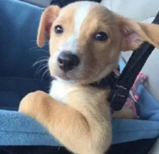 Telegram sticker 🤍 ! · 𝙱𝚈 : @comunapopular 🤍