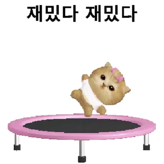 Video sticker 👍 @KakaoEmoji 모요묘묘2