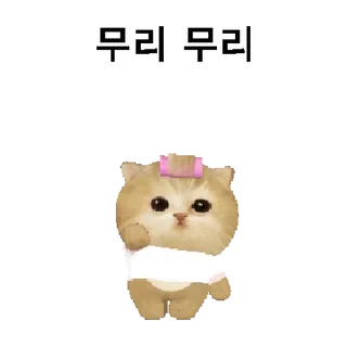 Video sticker 👍 @KakaoEmoji 모요묘묘2