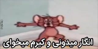 Video sticker 🥰 Hadise random sticker