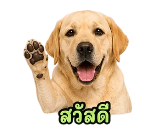 Sticker ⭐ @Night7854 โจโฉเอง
