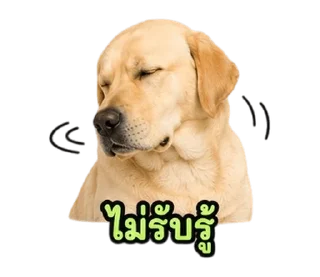 Telegram stiker ⭐ @Night7854 โจโฉเอง