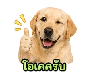 Telegram stiker ⭐ @Night7854 โจโฉเอง