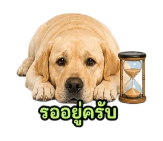 Telegram stiker ⭐ @Night7854 โจโฉเอง