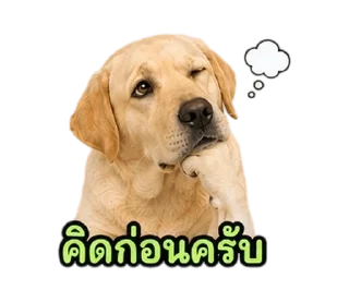 Telegram stiker ⭐ @Night7854 โจโฉเอง