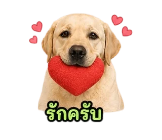 Telegram stiker ⭐ @Night7854 โจโฉเอง