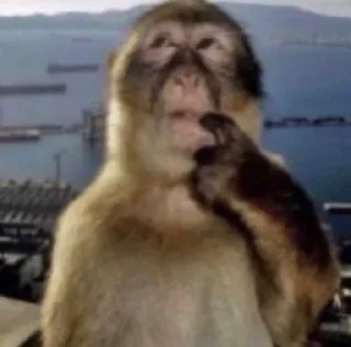 Телеграм стикер 🤔 Oni-chan 🥺👉👈