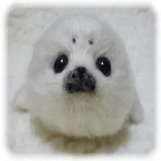 Telegram sticker 🦭 seals by korvalol :: @fStikBot