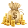 Sticker 💰 SAIDOVS EMOJIS