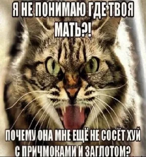 Sticker 🌟 @dustcandle :: @fStikBot