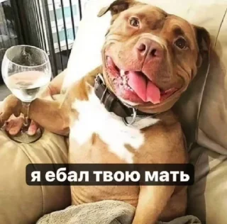 Video sticker 🌟 @dustcandle :: @fStikBot