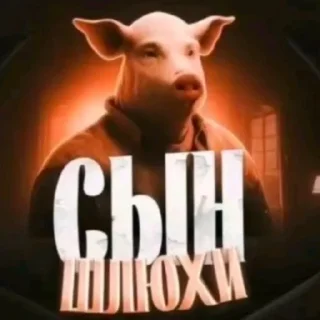 Video sticker 🌟 @dustcandle :: @fStikBot