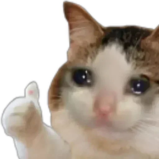 Telegram sticker 😔 @Duela_aquien_duela 😌 Johnny