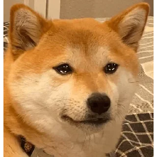 Video sticker 😢 Techno