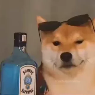 Video sticker 🎈 Techno