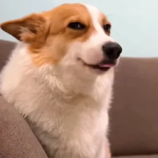 Video sticker 🌝 Techno