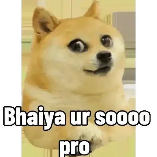 Telegram sticker 🥺 @Moon78692 ᯤ̸ 𓅃 Soja Bhai_
