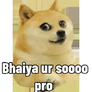 Video sticker 🥺 @Moon78692 ᯤ̸ 𓅃 Soja Bhai_