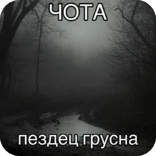 Telegram sticker 😢 fourLOL