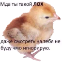 Telegram sticker 🐥 Lord of memes