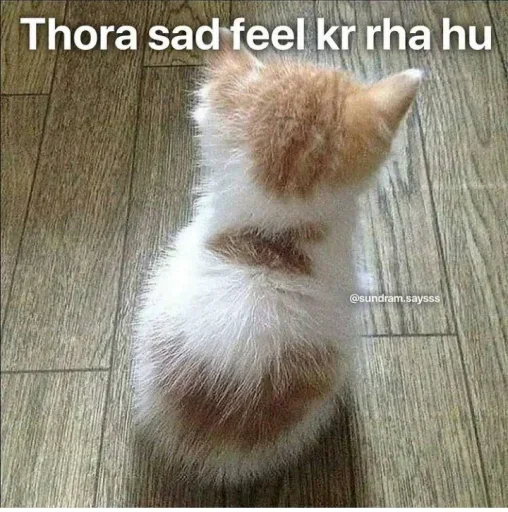 Telegram sticker 🥺 Mera maal :: @fStikBot
