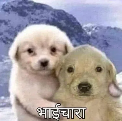 Telegram sticker 🤔 Mera maal :: @fStikBot