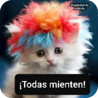 Video sticker 😖 IMPERTURBABLE