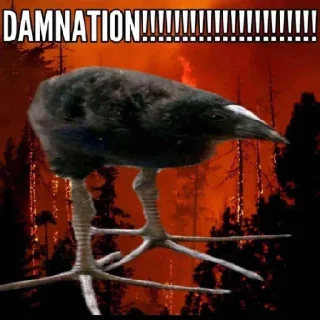 Telegram sticker 🔥 Aboba6 (https://t.me/addstickers/DAMN_BIRD)