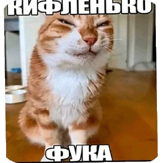 Telegram sticker 🌟 Больше стиков тут: @stikery4