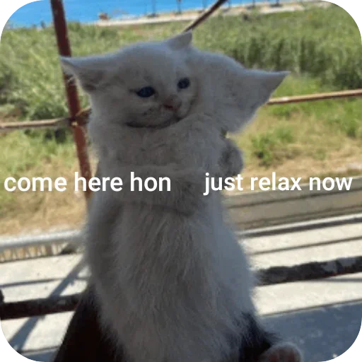 Telegram sticker 🐱 Sector Sticker Pack v1 (@sectorlospolloshermanos)