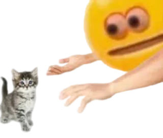 Video sticker 🐱 cursedemoji