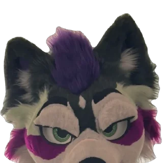 Telegram sticker 👀 Enzo