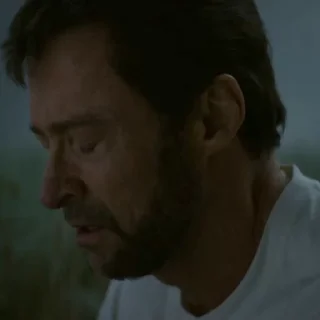 Video sticker 🐯 Hugh Jackman @stickerowo