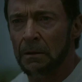 Video sticker 🐯 Hugh Jackman @stickerowo